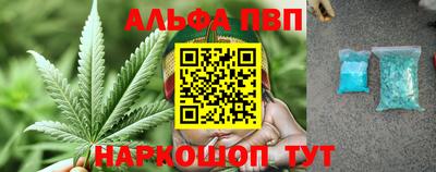 сатива Новодвинск