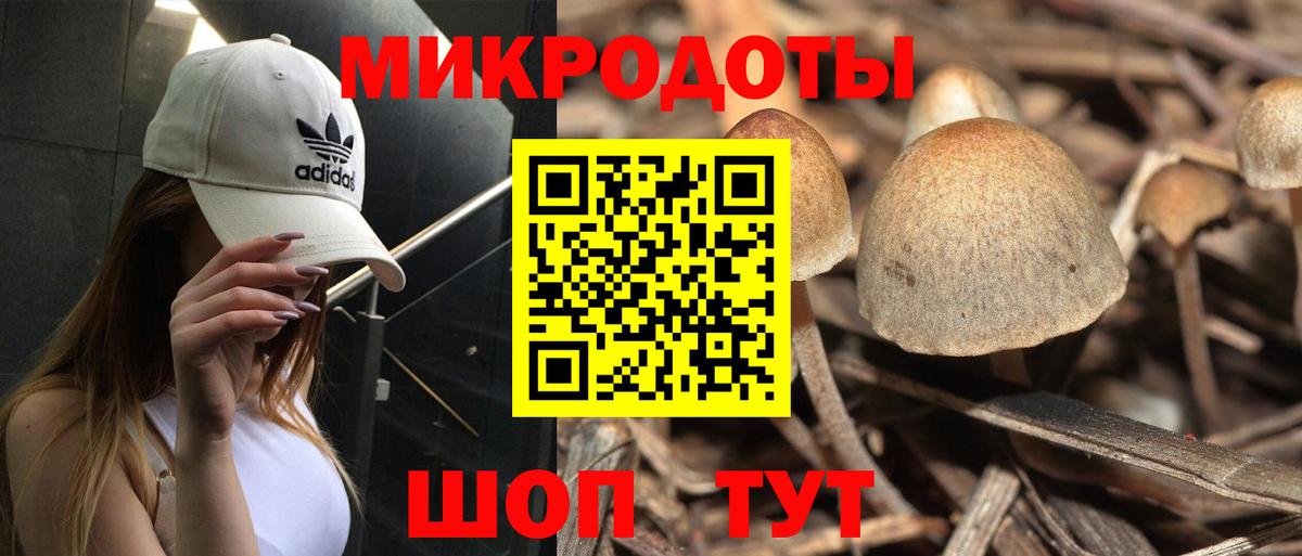 Усинск  Псилоцибиновые грибы Psilocybe  Галлюциногенные грибы прущие грибы  Вход с VPN 